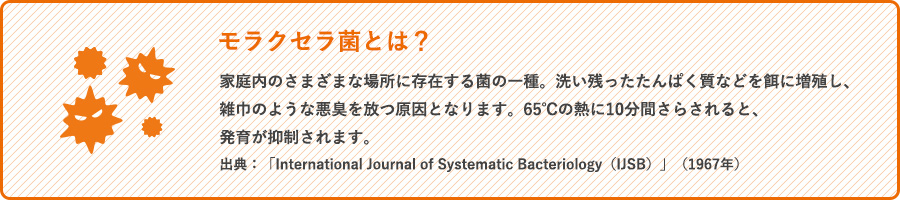 モラクセラ菌とは？